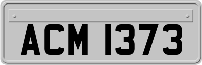 ACM1373