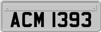 ACM1393