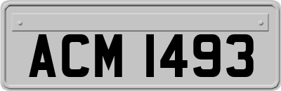 ACM1493