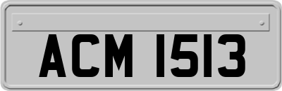 ACM1513