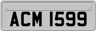 ACM1599