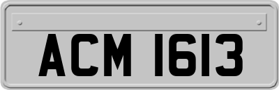 ACM1613