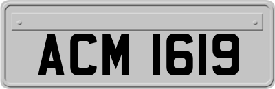 ACM1619