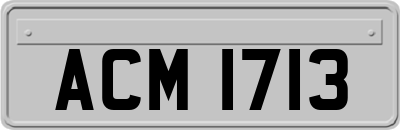 ACM1713