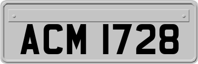 ACM1728