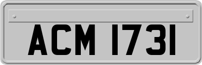 ACM1731