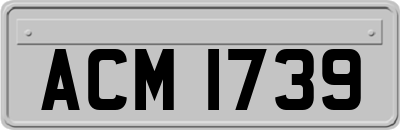 ACM1739