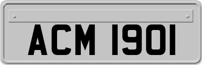 ACM1901