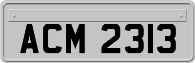 ACM2313