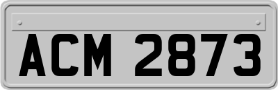 ACM2873