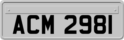 ACM2981