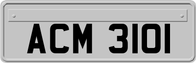 ACM3101