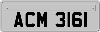 ACM3161