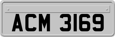 ACM3169