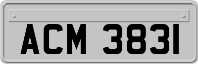 ACM3831