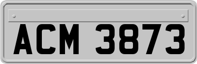 ACM3873