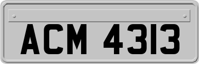 ACM4313