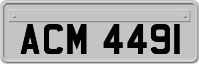 ACM4491
