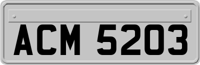 ACM5203
