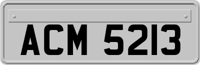 ACM5213