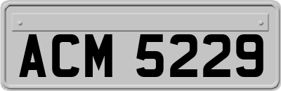 ACM5229