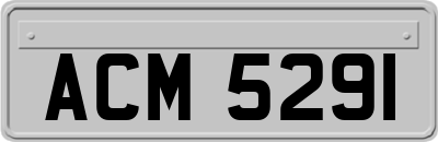 ACM5291