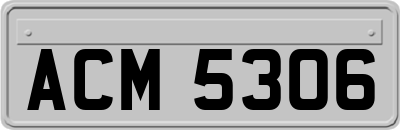 ACM5306