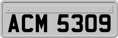 ACM5309