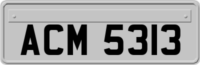 ACM5313
