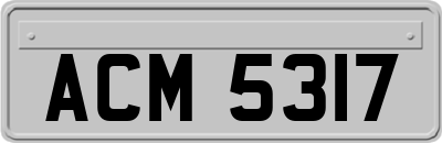 ACM5317