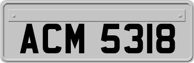 ACM5318