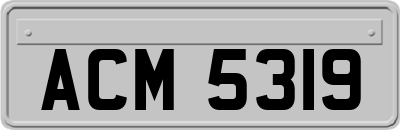 ACM5319