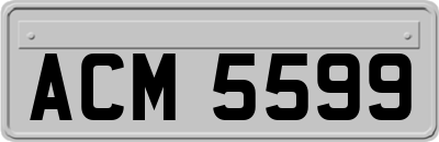 ACM5599