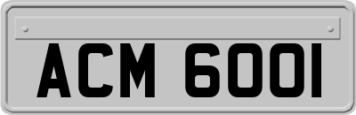 ACM6001