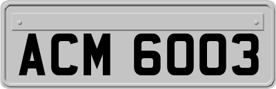 ACM6003