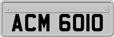 ACM6010