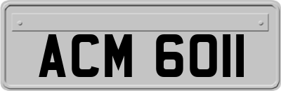 ACM6011