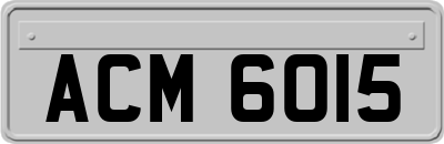 ACM6015