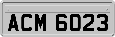 ACM6023