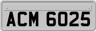 ACM6025