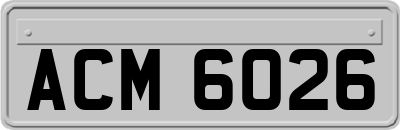 ACM6026