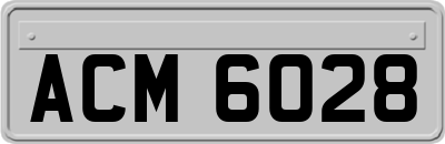 ACM6028
