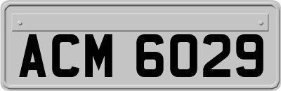 ACM6029
