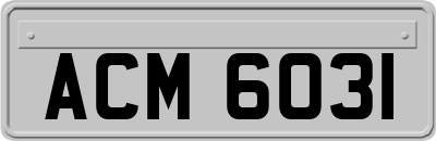 ACM6031