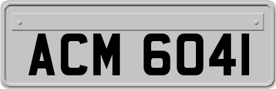 ACM6041