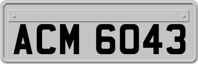 ACM6043