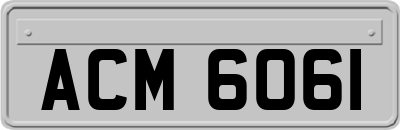 ACM6061