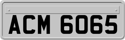 ACM6065
