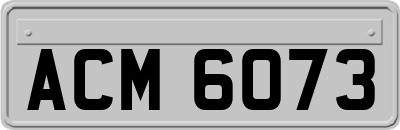 ACM6073