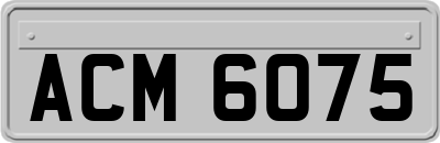 ACM6075